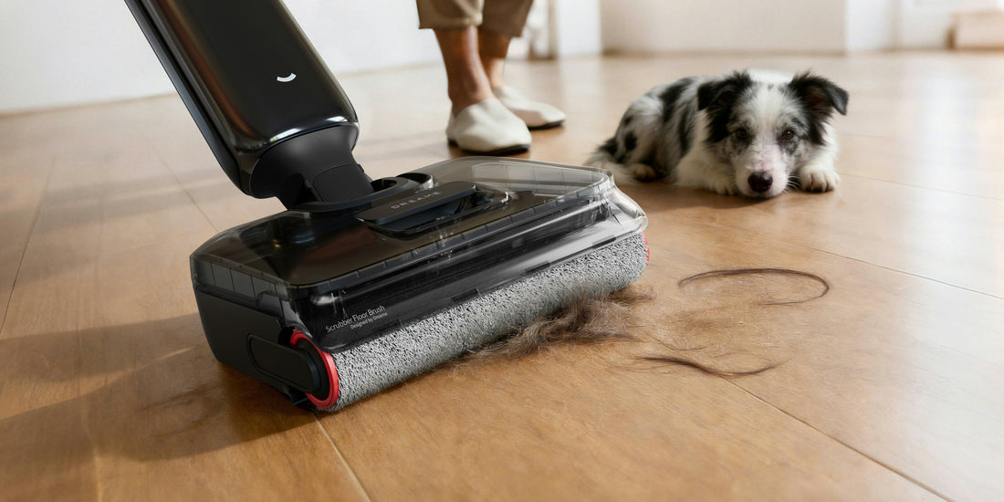 Keep Home Free from Pet Hair |Easy Cleaning Tips |DocatShop