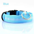 Safety LED Dog Collar – USB Rechargeable Glowing Pet Collar