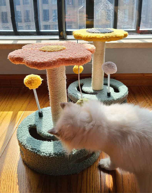 Cat Scratch Board – Durable Claw Grinding & Fun Cat Toy - Docatshop