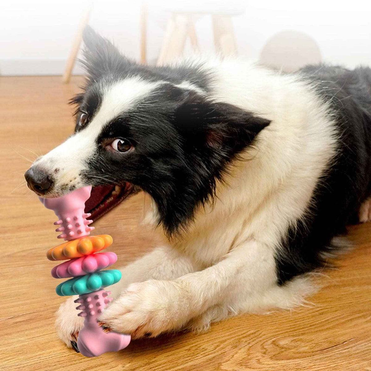 Indestructible Dog Bone Chew Toy – Teeth Cleaning & Teething Relief - Docatshop