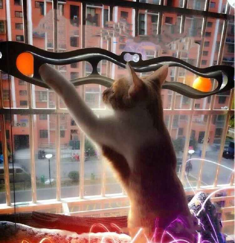 Interactive Cat Toy: Windowsill Track Ball for Endless Fun and Activity - Docatshop