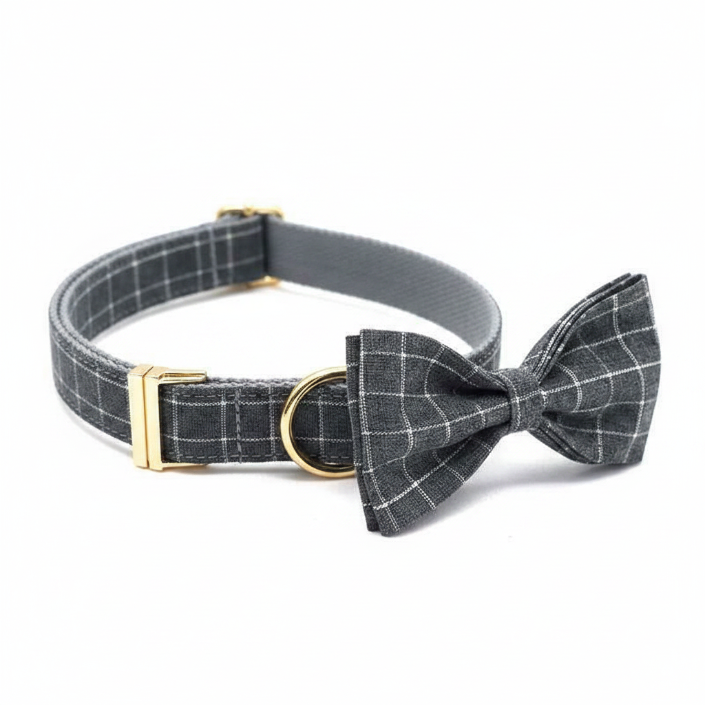 Stylish Dog Collar – Google-compliant